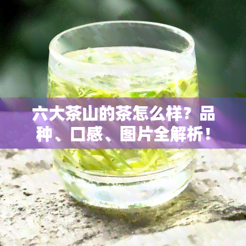 六大茶山的茶怎么样？品种、口感、图片全解析！