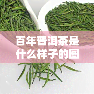 百年普洱茶是什么样子的图片，探索百年普洱茶的魅力：珍贵图片揭示其独特风貌