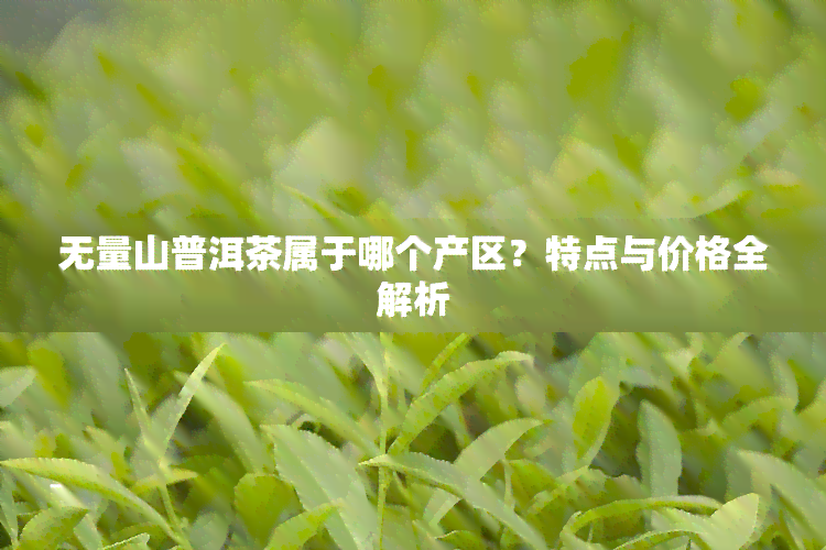 无量山普洱茶属于哪个产区？特点与价格全解析