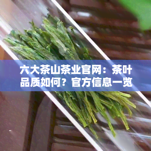 六大茶山茶业官网：茶叶品质如何？官方信息一览