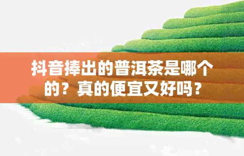 抖音捧出的普洱茶是哪个的？真的便宜又好吗？