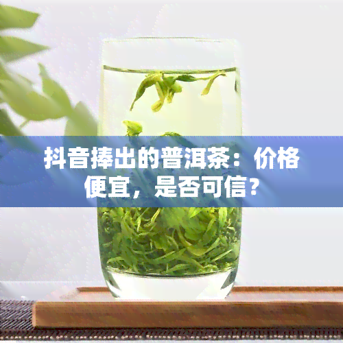 抖音捧出的普洱茶：价格便宜，是否可信？