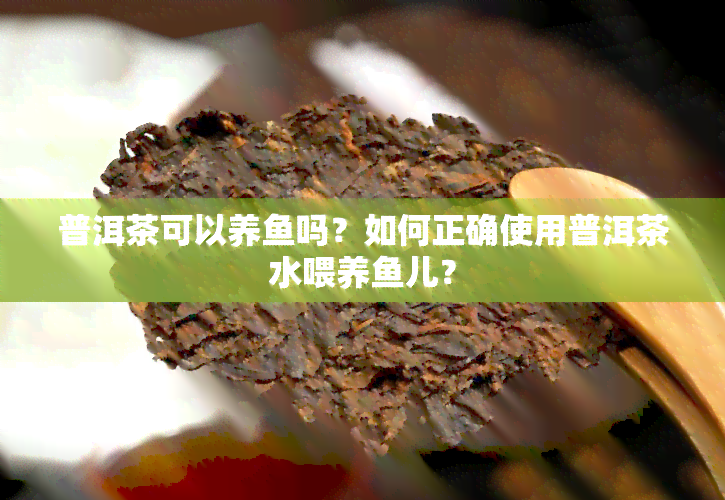 普洱茶可以养吗？如何正确使用普洱茶水喂养儿？