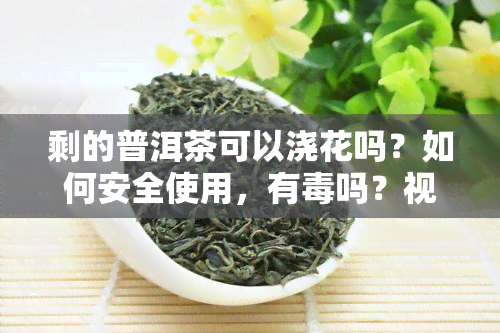 剩的普洱茶可以浇花吗？如何安全使用，有吗？视频解答