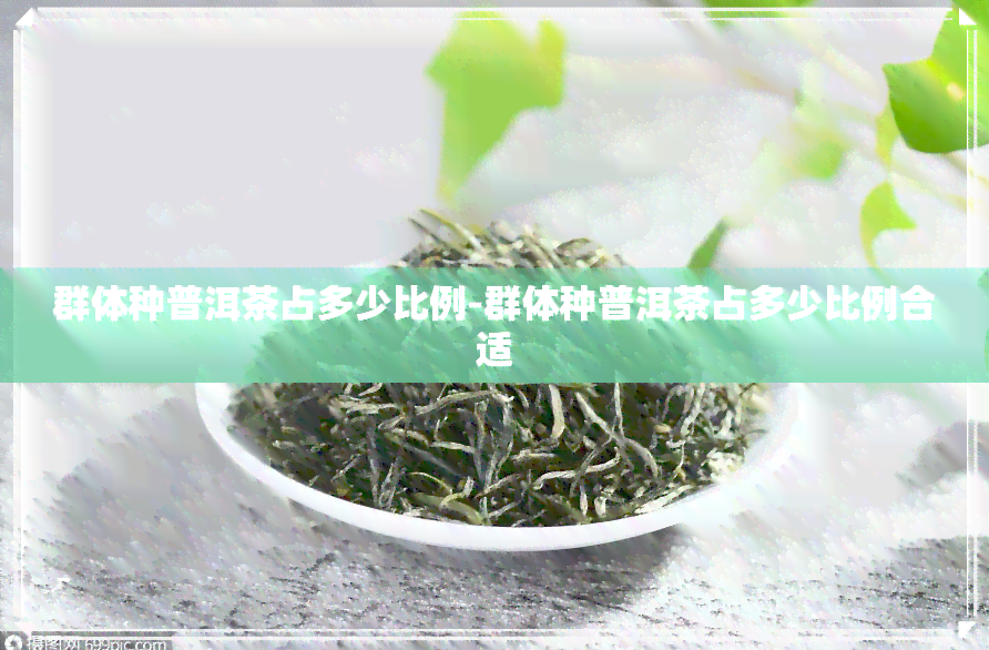 群体种普洱茶占多少比例-群体种普洱茶占多少比例合适