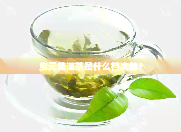 宝元普洱茶是什么档次的？