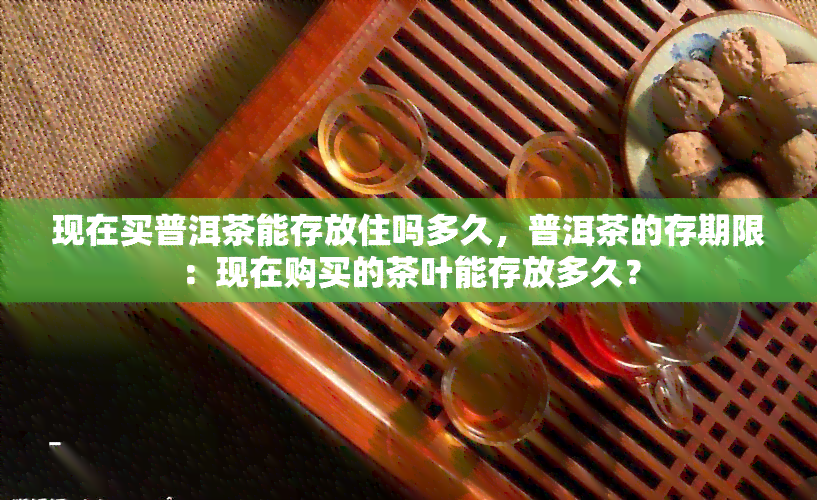 现在买普洱茶能存放住吗多久，普洱茶的存期限：现在购买的茶叶能存放多久？