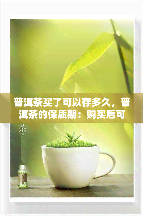 普洱茶买了可以存多久，普洱茶的保质期：购买后可存多久？