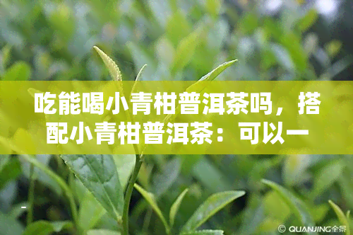 吃能喝小青柑普洱茶吗，搭配小青柑普洱茶：可以一起饮用吗？