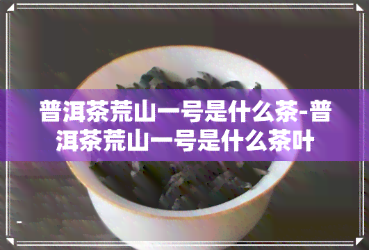 普洱茶荒山一号是什么茶-普洱茶荒山一号是什么茶叶