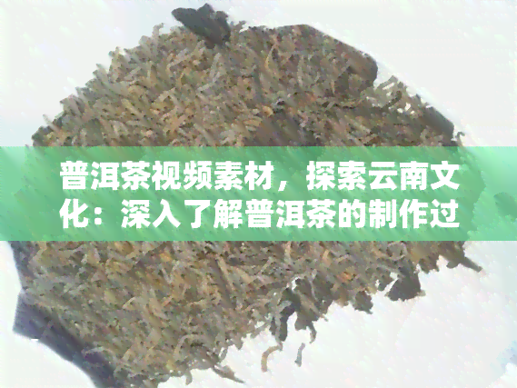 普洱茶视频素材，探索云南文化：深入了解普洱茶的制作过程和历背景