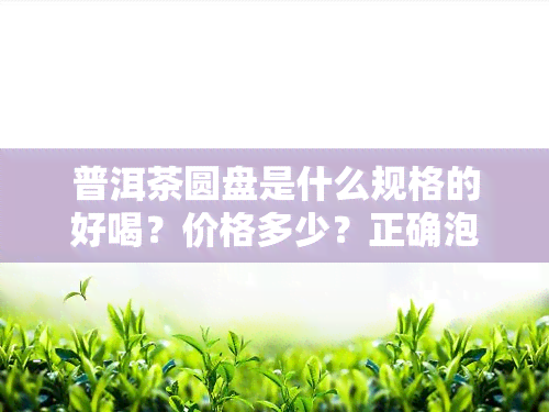 普洱茶圆盘是什么规格的好喝？价格多少？正确泡法是怎样的？