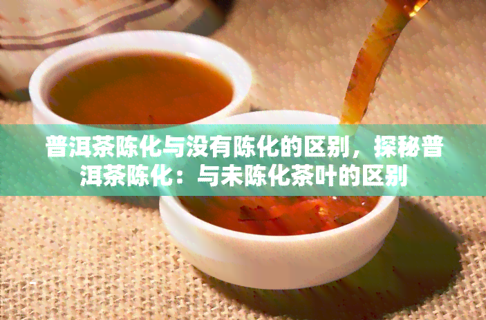 普洱茶陈化与没有陈化的区别，探秘普洱茶陈化：与未陈化茶叶的区别