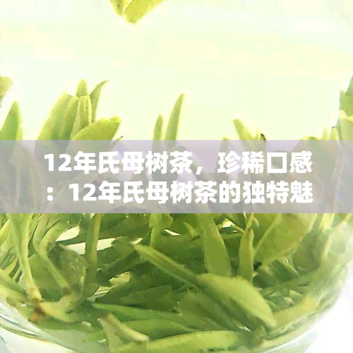 12年氏母树茶，珍稀口感：12年氏母树茶的独特魅力