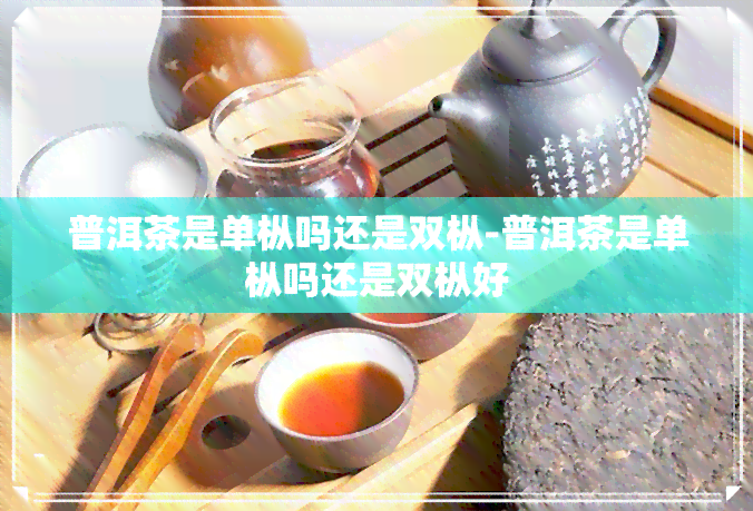 普洱茶是单枞吗还是双枞-普洱茶是单枞吗还是双枞好