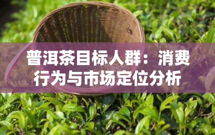 普洱茶目标人群：消费行为与市场定位分析