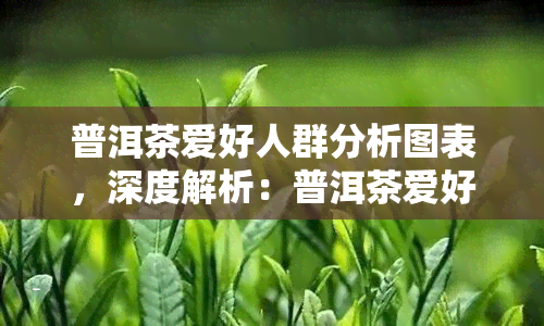 普洱茶爱好人群分析图表，深度解析：普洱茶爱好人群的消费行为与喜好趋势