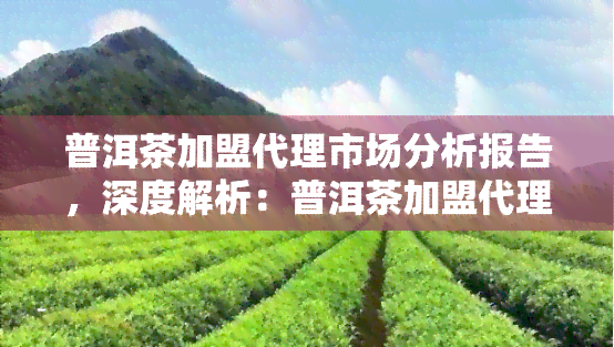 普洱茶加盟代理市场分析报告，深度解析：普洱茶加盟代理市场的机遇与挑战