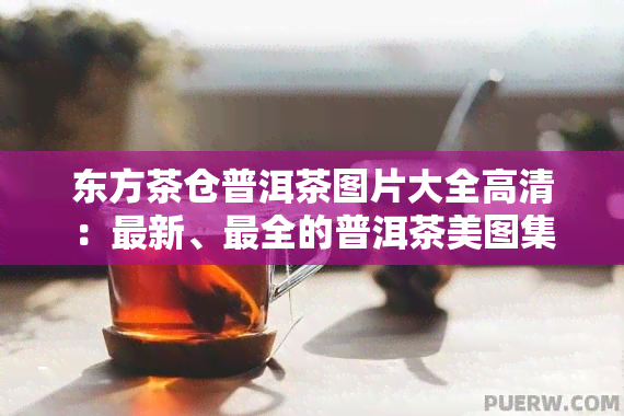 东方茶仓普洱茶图片大全高清：最新、最全的普洱茶美图集