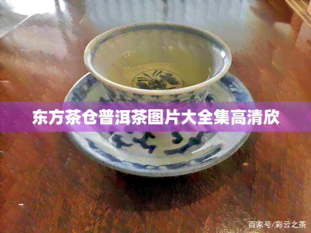 东方茶仓普洱茶图片大全集高清欣