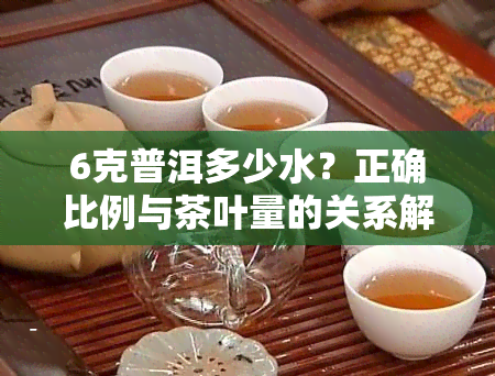 6克普洱多少水？正确比例与茶叶量的关系解析