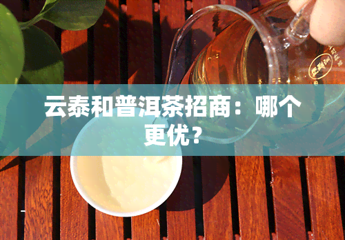 云泰和普洱茶招商：哪个更优？