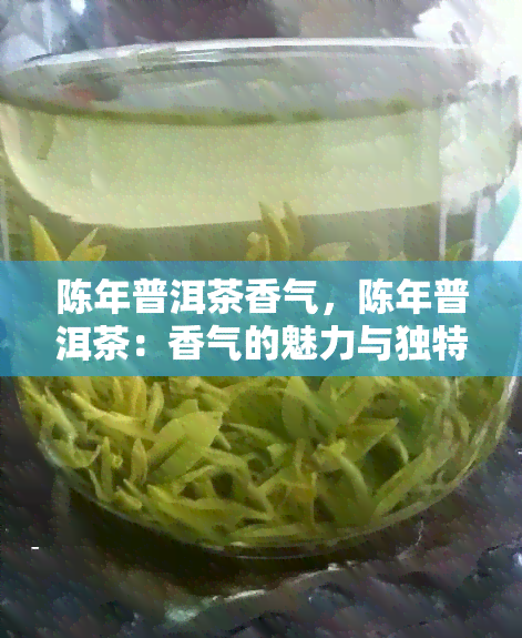 陈年普洱茶香气，陈年普洱茶：香气的魅力与独特韵味