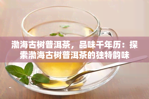 渤海古树普洱茶，品味千年历：探索渤海古树普洱茶的独特韵味