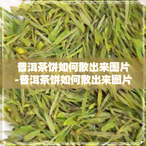 普洱茶饼如何散出来图片-普洱茶饼如何散出来图片大全