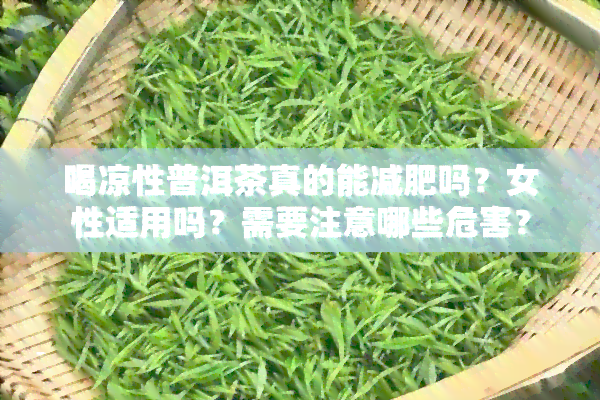 喝凉性普洱茶真的能减肥吗？女性适用吗？需要注意哪些危害？