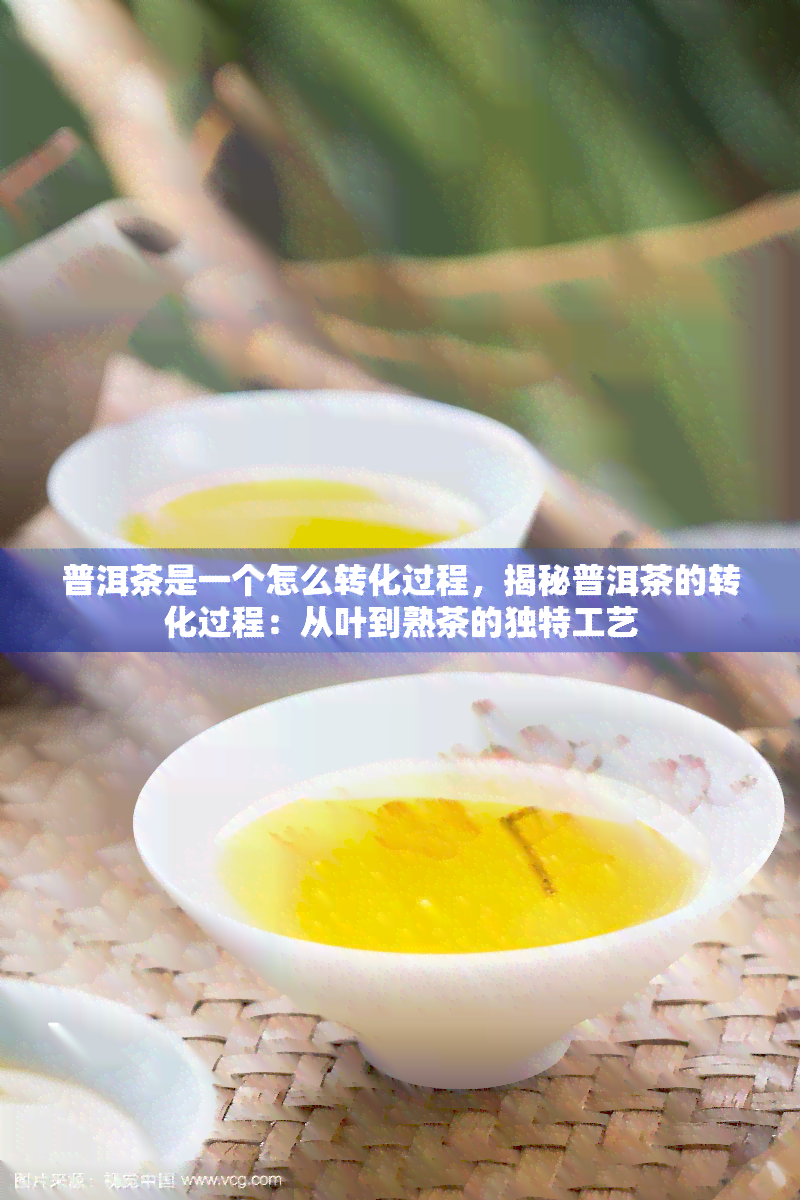 普洱茶是一个怎么转化过程，揭秘普洱茶的转化过程：从叶到熟茶的独特工艺