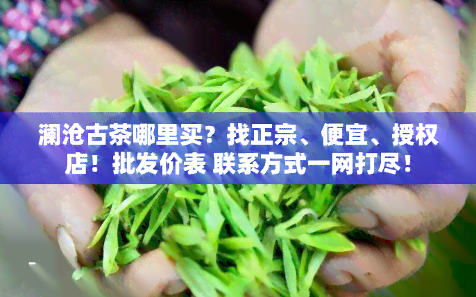 澜沧古茶哪里买？找正宗、便宜、授权店！批发价表 联系方式一网打尽！