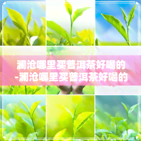 澜沧哪里买普洱茶好喝的-澜沧哪里买普洱茶好喝的地方