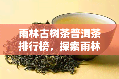 雨林古树茶普洱茶排行榜，探索雨林古树茶普洱茶排名，品味独特的口感和健益处