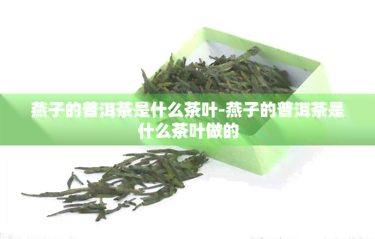 燕子的普洱茶是什么茶叶-燕子的普洱茶是什么茶叶做的