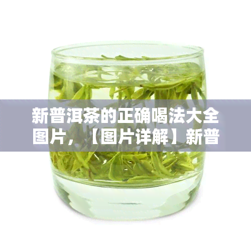 新普洱茶的正确喝法大全图片，【图片详解】新普洱茶的正确冲泡与品尝方法大全