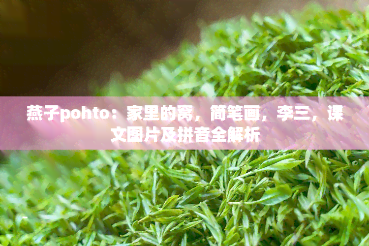 燕子pohto：家里的窝，简笔画，李三，课文图片及拼音全解析