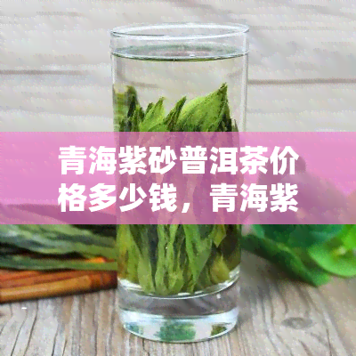 青海紫砂普洱茶价格多少钱，青海紫砂普洱茶市场价格解析