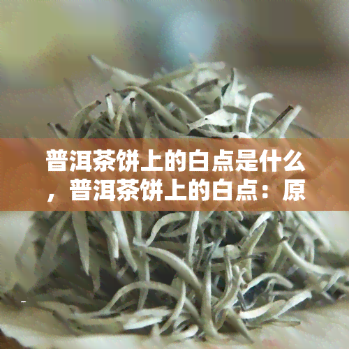 普洱茶饼上的白点是什么，普洱茶饼上的白点：原因和影响解析