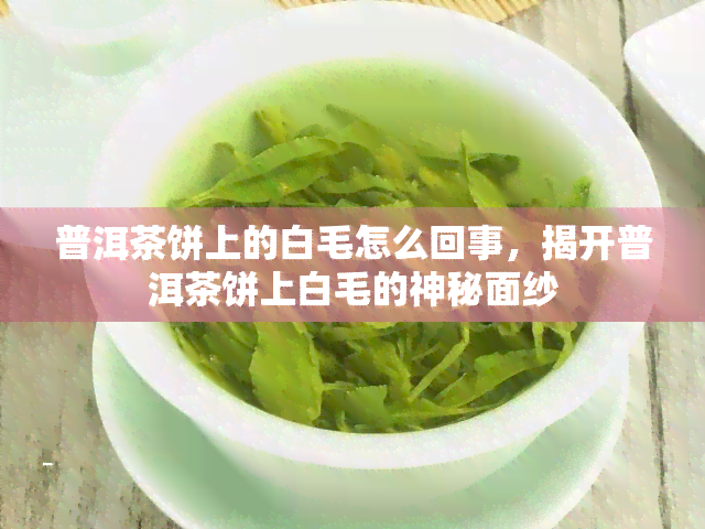 普洱茶饼上的白毛怎么回事，揭开普洱茶饼上白毛的神秘面纱