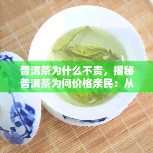 普洱茶为什么不贵，揭秘普洱茶为何价格亲民：从生产到消费全过程解析