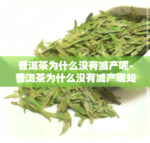 普洱茶为什么没有减产呢-普洱茶为什么没有减产呢知乎