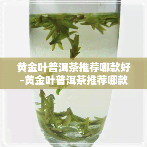 黄金叶普洱茶推荐哪款好-黄金叶普洱茶推荐哪款好一点