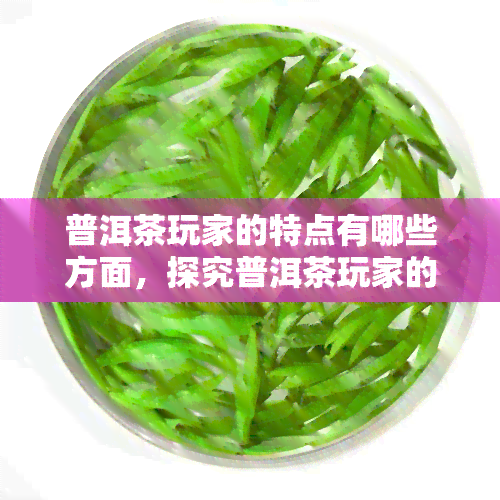 普洱茶玩家的特点有哪些方面，探究普洱茶玩家的独特特点：他们是如何评价、品尝和收藏这种茶叶的？