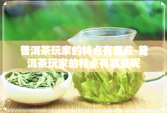 普洱茶玩家的特点有哪些-普洱茶玩家的特点有哪些呢