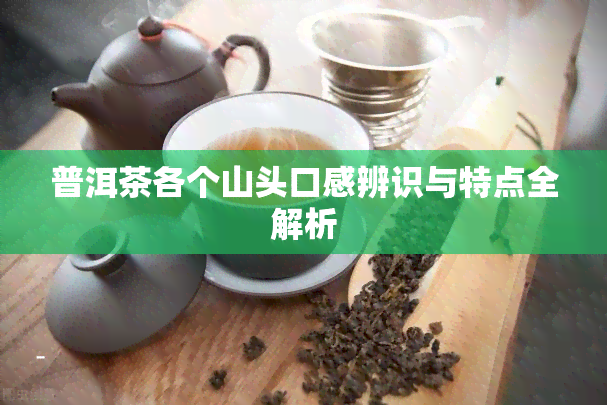 普洱茶各个山头口感辨识与特点全解析