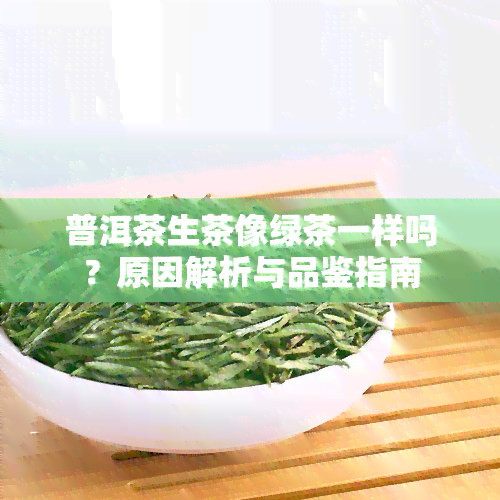 普洱茶生茶像绿茶一样吗？原因解析与品鉴指南