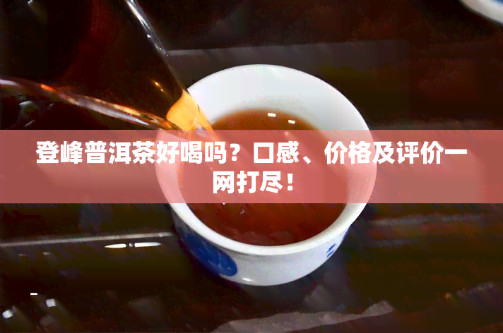 登峰普洱茶好喝吗？口感、价格及评价一网打尽！