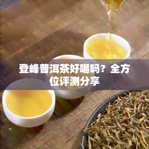 登峰普洱茶好喝吗？全方位评测分享