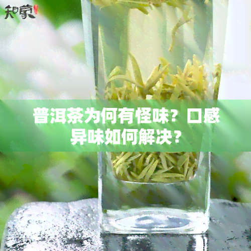 普洱茶为何有怪味？口感异味如何解决？